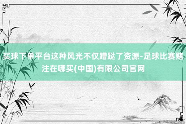 买球下单平台这种风光不仅蹧跶了资源-足球比赛赌注在哪买(中国)有限公司官网