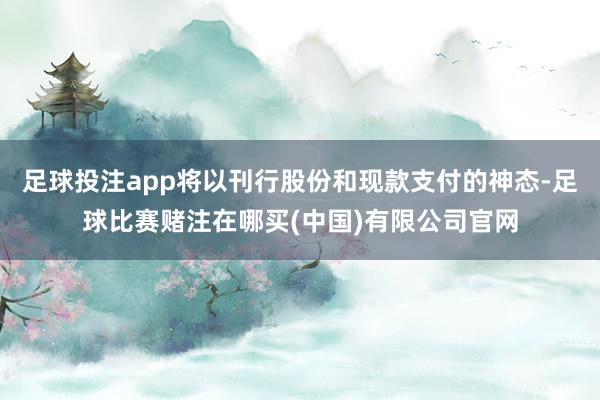 足球投注app将以刊行股份和现款支付的神态-足球比赛赌注在哪买(中国)有限公司官网