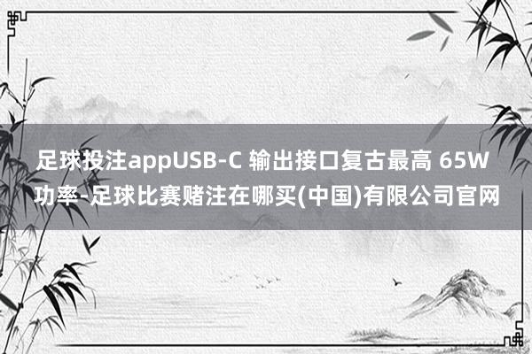 足球投注appUSB-C 输出接口复古最高 65W 功率-足球比赛赌注在哪买(中国)有限公司官网