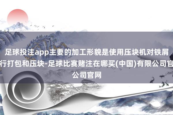 足球投注app主要的加工形貌是使用压块机对铁屑进行打包和压块-足球比赛赌注在哪买(中国)有限公司官网