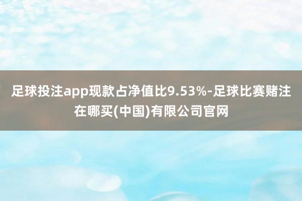 足球投注app现款占净值比9.53%-足球比赛赌注在哪买(中国)有限公司官网