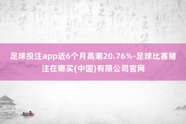 足球投注app近6个月高潮20.76%-足球比赛赌注在哪买(中国)有限公司官网