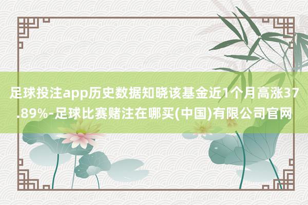 足球投注app历史数据知晓该基金近1个月高涨37.89%-足球比赛赌注在哪买(中国)有限公司官网