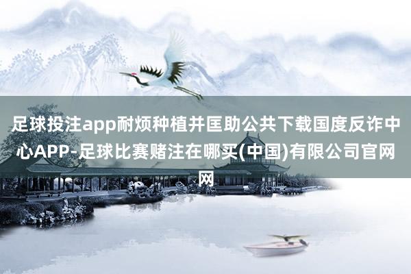 足球投注app耐烦种植并匡助公共下载国度反诈中心APP-足球比赛赌注在哪买(中国)有限公司官网