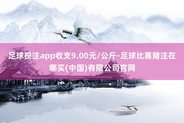 足球投注app收支9.00元/公斤-足球比赛赌注在哪买(中国)有限公司官网