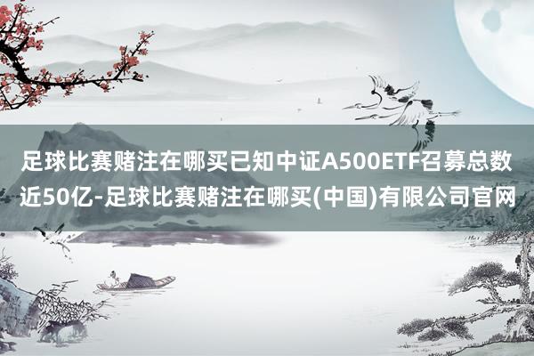 足球比赛赌注在哪买已知中证A500ETF召募总数近50亿-足球比赛赌注在哪买(中国)有限公司官网