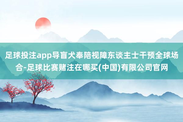 足球投注app导盲犬奉陪视障东谈主士干预全球场合-足球比赛赌注在哪买(中国)有限公司官网