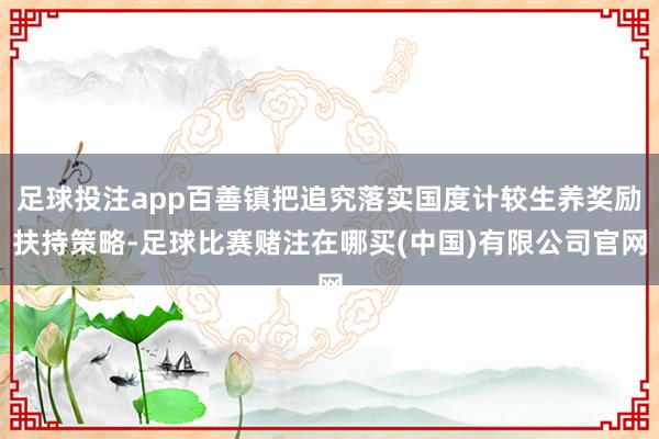 足球投注app百善镇把追究落实国度计较生养奖励扶持策略-足球比赛赌注在哪买(中国)有限公司官网