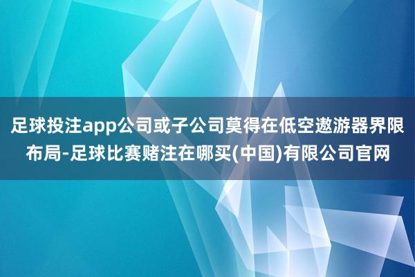 足球投注app公司或子公司莫得在低空遨游器界限布局-足球比赛赌注在哪买(中国)有限公司官网