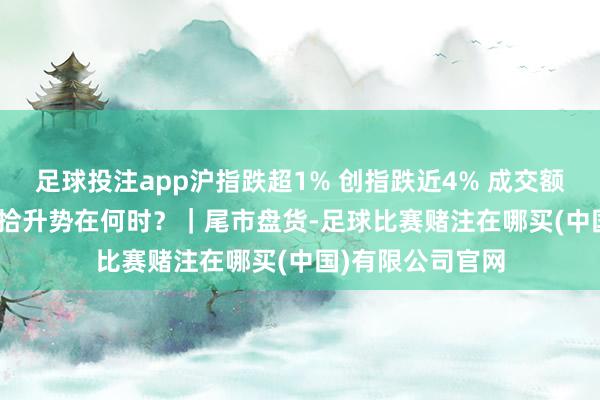 足球投注app沪指跌超1% 创指跌近4% 成交额超1.8万亿元 重拾升势在何时？｜尾市盘货-足球比赛赌注在哪买(中国)有限公司官网