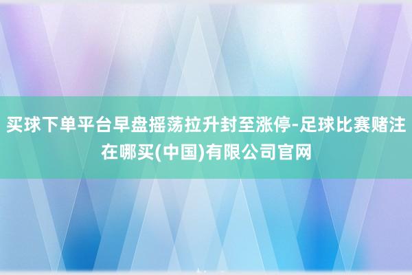 买球下单平台早盘摇荡拉升封至涨停-足球比赛赌注在哪买(中国)有限公司官网