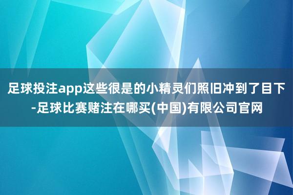 足球投注app这些很是的小精灵们照旧冲到了目下-足球比赛赌注在哪买(中国)有限公司官网