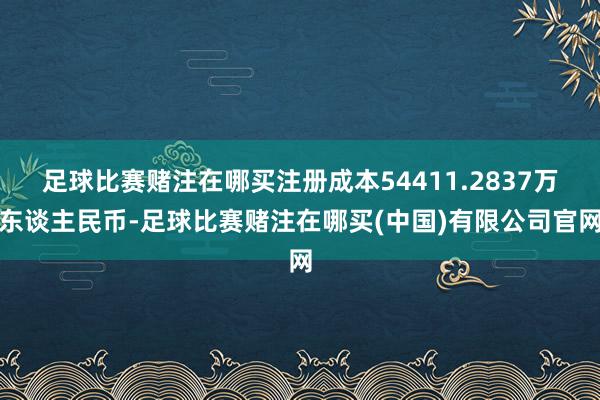 足球比赛赌注在哪买注册成本54411.2837万东谈主民币-足球比赛赌注在哪买(中国)有限公司官网