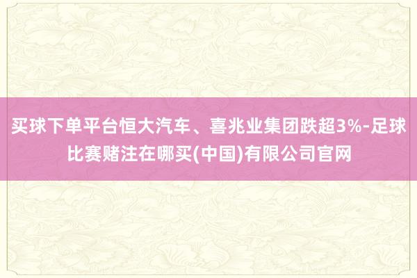 买球下单平台恒大汽车、喜兆业集团跌超3%-足球比赛赌注在哪买(中国)有限公司官网