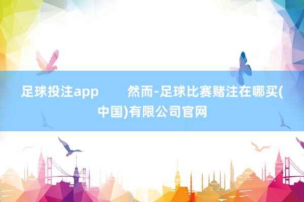 足球投注app        然而-足球比赛赌注在哪买(中国)有限公司官网