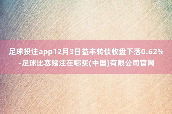 足球投注app12月3日益丰转债收盘下落0.62%-足球比赛赌注在哪买(中国)有限公司官网