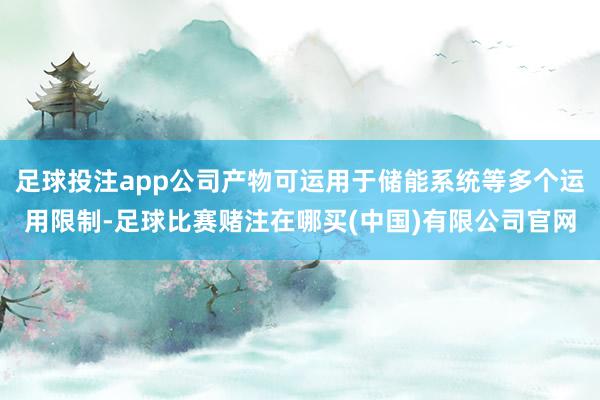 足球投注app公司产物可运用于储能系统等多个运用限制-足球比赛赌注在哪买(中国)有限公司官网