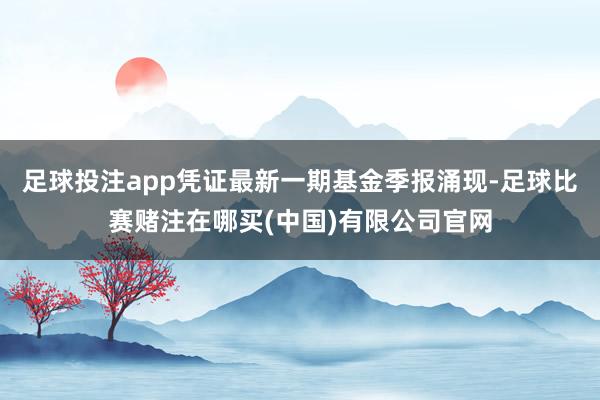 足球投注app凭证最新一期基金季报涌现-足球比赛赌注在哪买(中国)有限公司官网