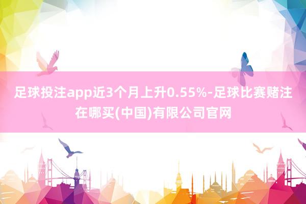 足球投注app近3个月上升0.55%-足球比赛赌注在哪买(中国)有限公司官网