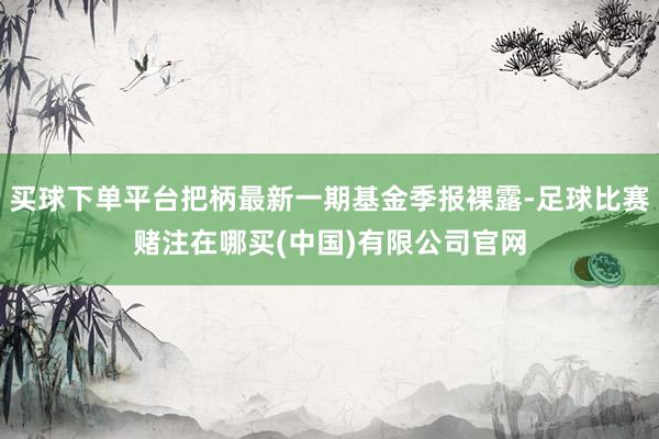 买球下单平台把柄最新一期基金季报裸露-足球比赛赌注在哪买(中国)有限公司官网