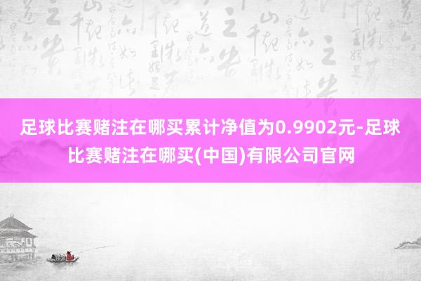 足球比赛赌注在哪买累计净值为0.9902元-足球比赛赌注在哪买(中国)有限公司官网