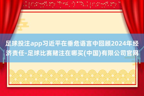 足球投注app习近平在垂危语言中回顾2024年经济责任-足球比赛赌注在哪买(中国)有限公司官网