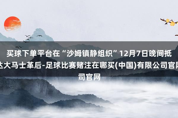 买球下单平台在“沙姆镇静组织”12月7日晚间抵达大马士革后-足球比赛赌注在哪买(中国)有限公司官网