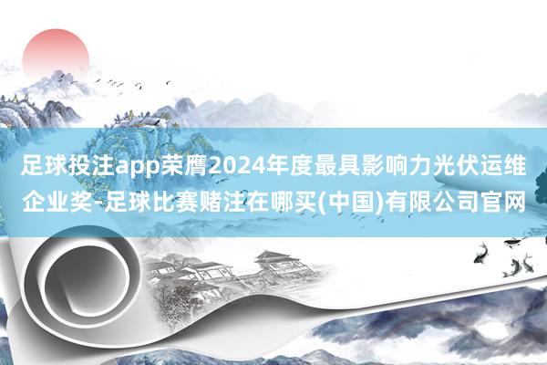 足球投注app荣膺2024年度最具影响力光伏运维企业奖-足球比赛赌注在哪买(中国)有限公司官网