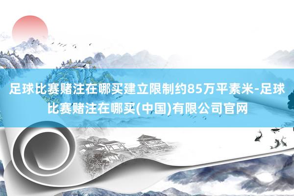 足球比赛赌注在哪买建立限制约85万平素米-足球比赛赌注在哪买(中国)有限公司官网