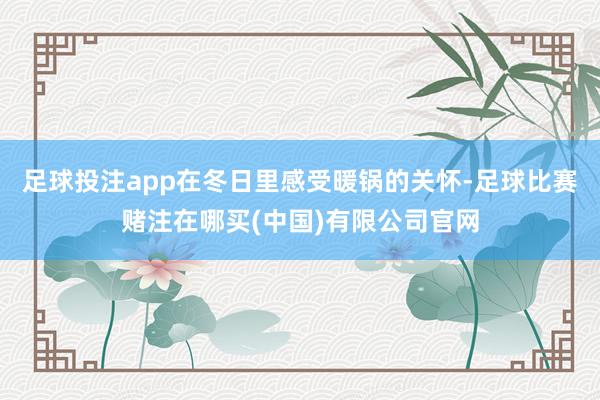 足球投注app在冬日里感受暖锅的关怀-足球比赛赌注在哪买(中国)有限公司官网