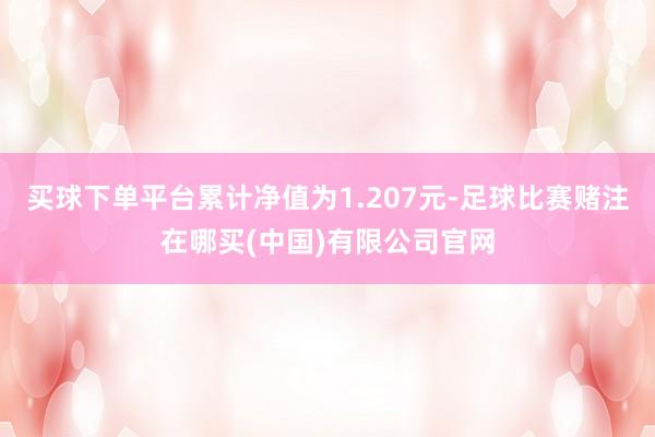 买球下单平台累计净值为1.207元-足球比赛赌注在哪买(中国)有限公司官网