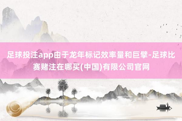 足球投注app由于龙年标记效率量和巨擘-足球比赛赌注在哪买(中国)有限公司官网