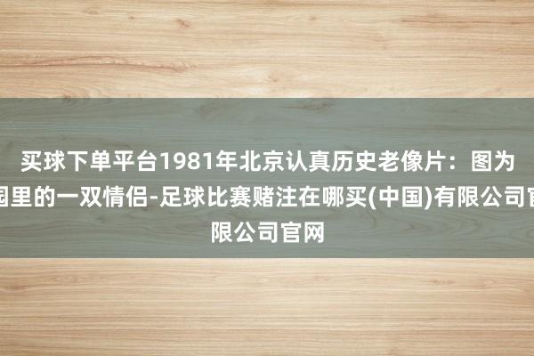 买球下单平台1981年北京认真历史老像片：图为公园里的一双情侣-足球比赛赌注在哪买(中国)有限公司官网