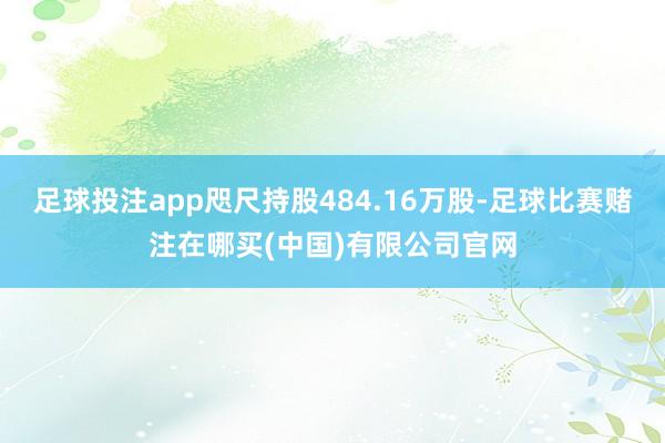 足球投注app咫尺持股484.16万股-足球比赛赌注在哪买(中国)有限公司官网