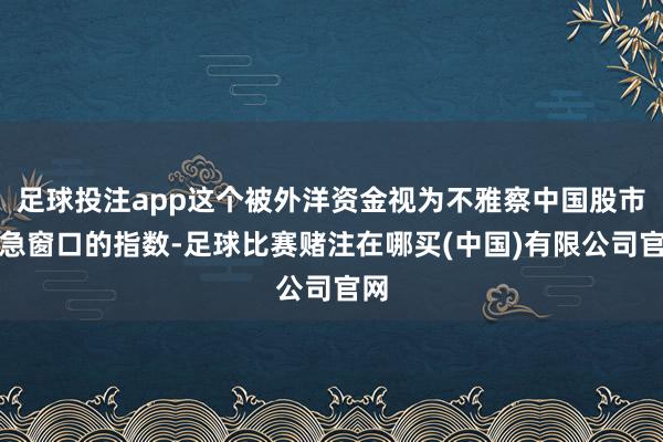 足球投注app这个被外洋资金视为不雅察中国股市遑急窗口的指数-足球比赛赌注在哪买(中国)有限公司官网