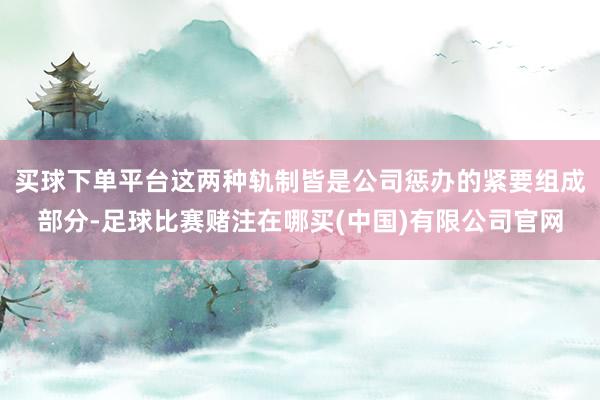 买球下单平台这两种轨制皆是公司惩办的紧要组成部分-足球比赛赌注在哪买(中国)有限公司官网