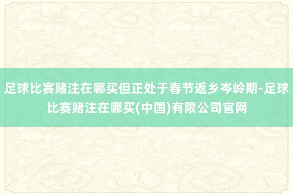 足球比赛赌注在哪买但正处于春节返乡岑岭期-足球比赛赌注在哪买(中国)有限公司官网