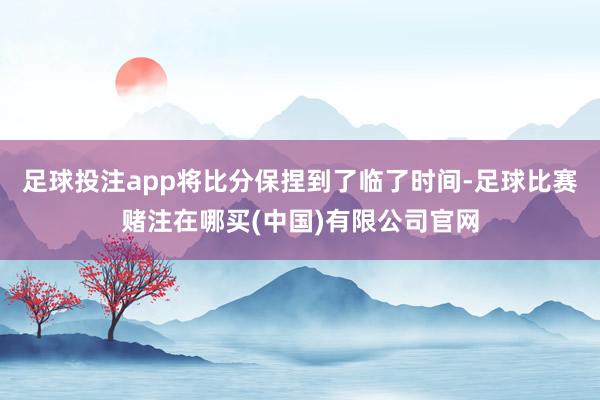 足球投注app将比分保捏到了临了时间-足球比赛赌注在哪买(中国)有限公司官网