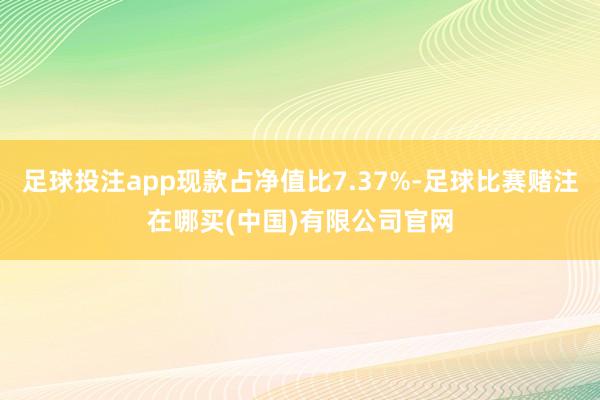 足球投注app现款占净值比7.37%-足球比赛赌注在哪买(中国)有限公司官网