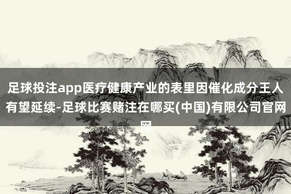 足球投注app医疗健康产业的表里因催化成分王人有望延续-足球比赛赌注在哪买(中国)有限公司官网