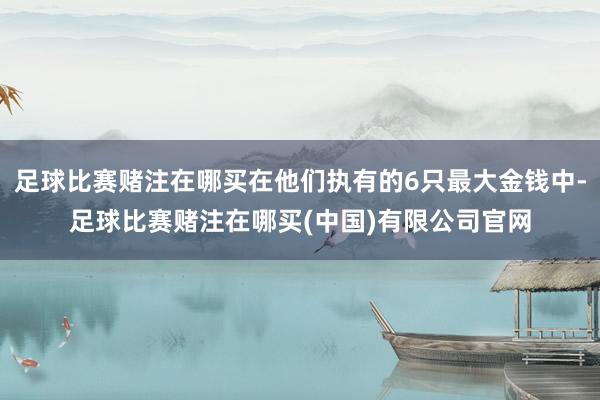 足球比赛赌注在哪买在他们执有的6只最大金钱中-足球比赛赌注在哪买(中国)有限公司官网