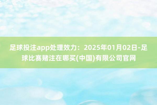 足球投注app处理效力：2025年01月02日-足球比赛赌注在哪买(中国)有限公司官网