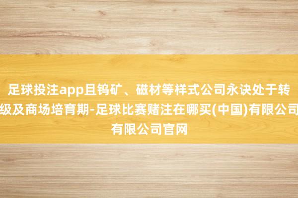 足球投注app且钨矿、磁材等样式公司永诀处于转型升级及商场培育期-足球比赛赌注在哪买(中国)有限公司官网